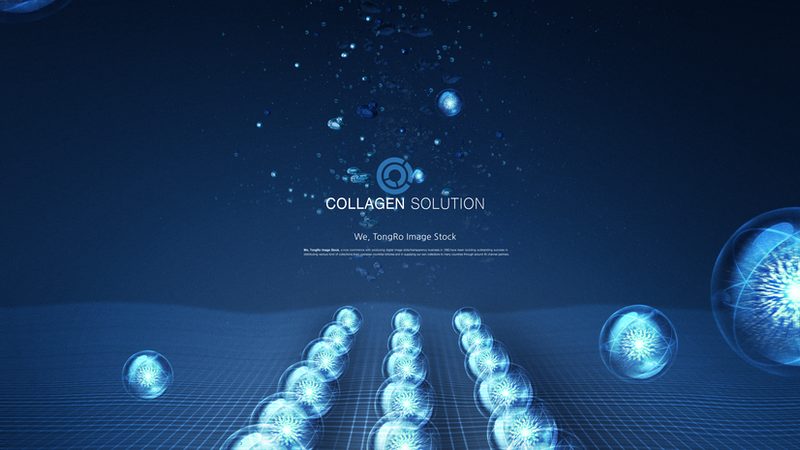 CDMO定制研发合同：揭秘合同要点与关键考量