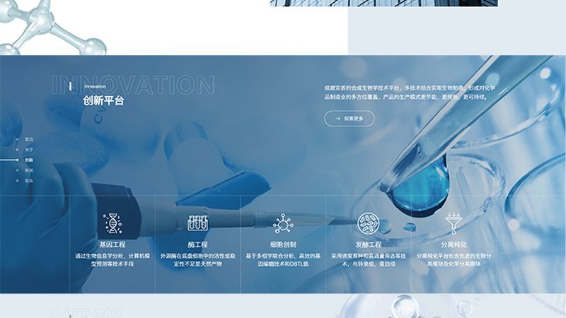 工业酶厂家排名背后的考量因素