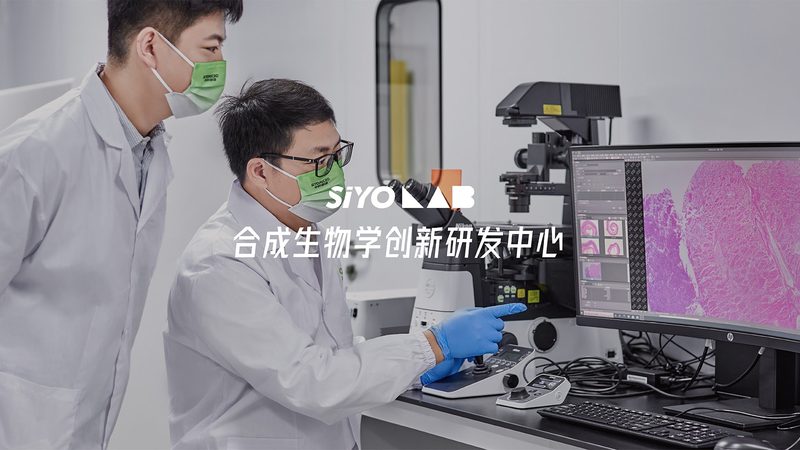 评价CDMO公司的排名，通常从以下几个方面进行考量：