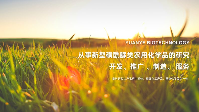 高糖DMEM培养基：揭秘其规格参数与细胞培养的奥秘**