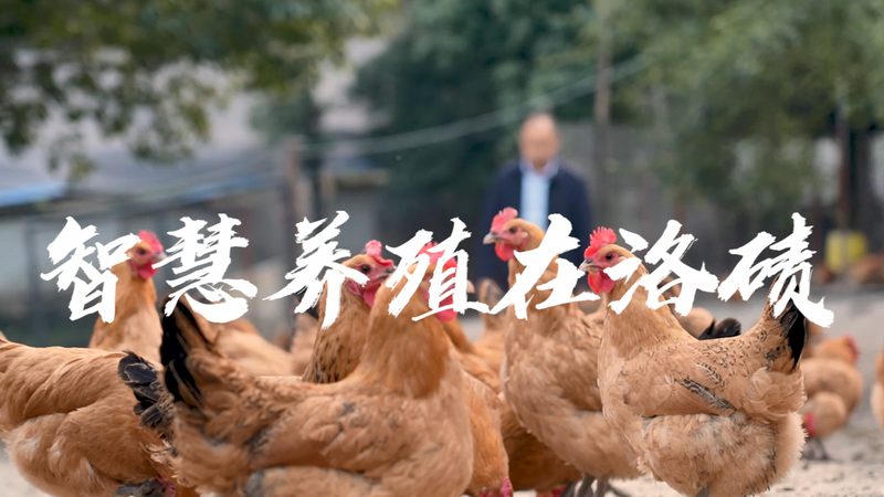 CRo优化方案定制，助力多领域研发突破