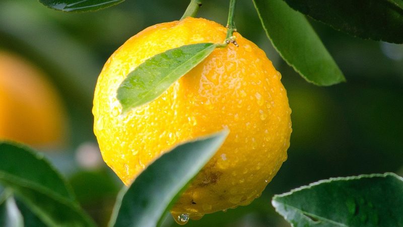 广州生物科技有限公司