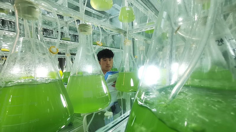 ADC药物：揭秘其副作用与优缺点**